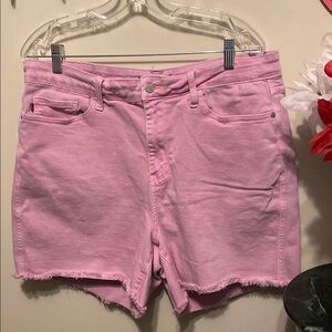 Judy Blue Pink Five Pocket Women's Shorts Size 3XL